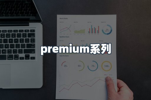 premium系列